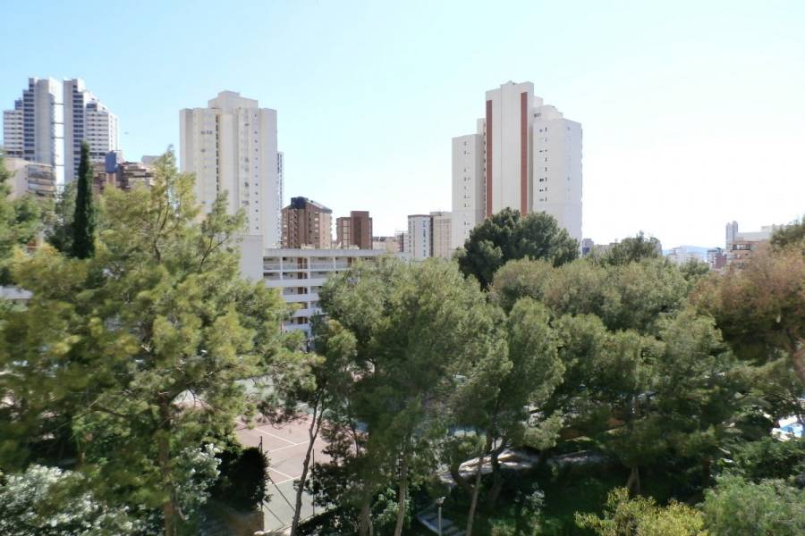 Benidorm,Alicante,España,1 Dormitorio Bedrooms,1 BañoBathrooms,Apartamentos,24339