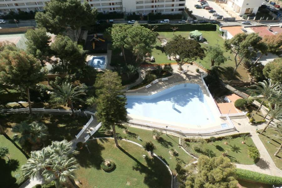 Benidorm,Alicante,España,1 Dormitorio Bedrooms,1 BañoBathrooms,Apartamentos,24339