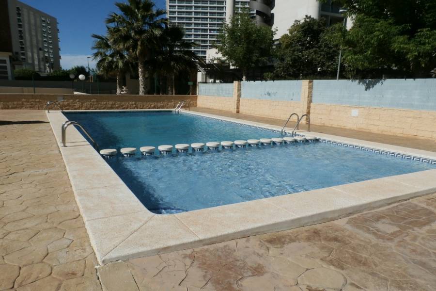 Benidorm,Alicante,España,1 Dormitorio Bedrooms,2 BathroomsBathrooms,Apartamentos,24340