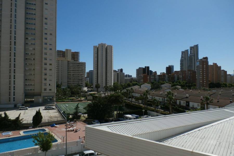 Benidorm,Alicante,España,1 Dormitorio Bedrooms,2 BathroomsBathrooms,Apartamentos,24340