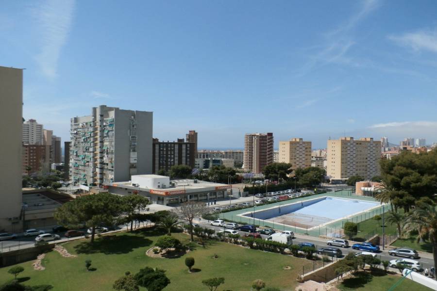 Benidorm,Alicante,España,1 Dormitorio Bedrooms,1 BañoBathrooms,Apartamentos,24345