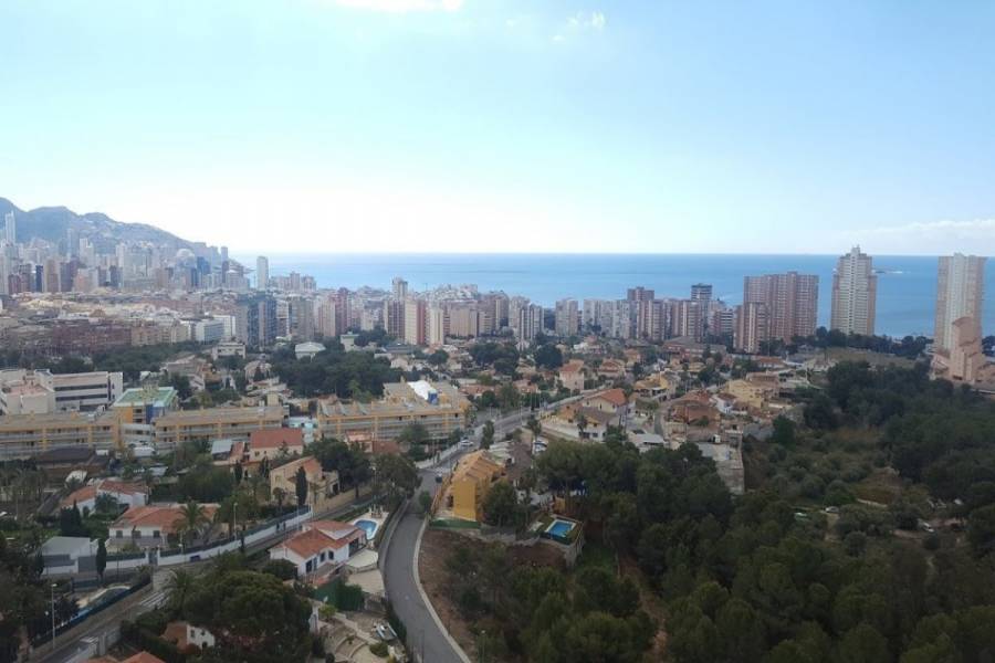 Benidorm,Alicante,España,1 Dormitorio Bedrooms,1 BañoBathrooms,Apartamentos,24346