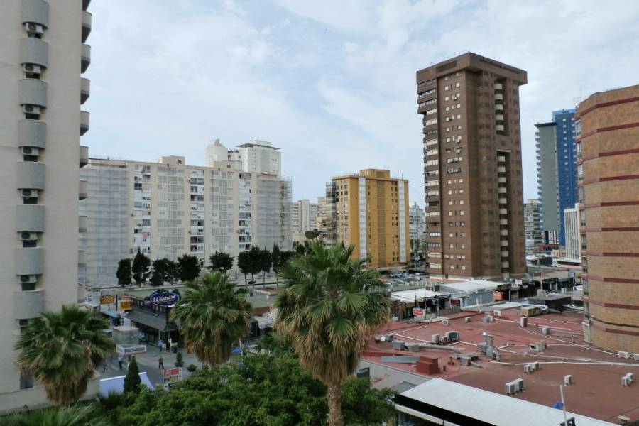 Benidorm,Alicante,España,2 Bedrooms Bedrooms,2 BathroomsBathrooms,Apartamentos,24353