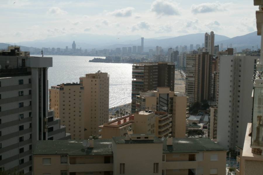 Benidorm,Alicante,España,1 Dormitorio Bedrooms,1 BañoBathrooms,Apartamentos,24354