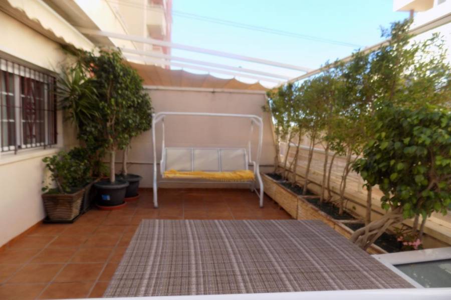 Elche,Alicante,España,4 Bedrooms Bedrooms,2 BathroomsBathrooms,Adosada,24368