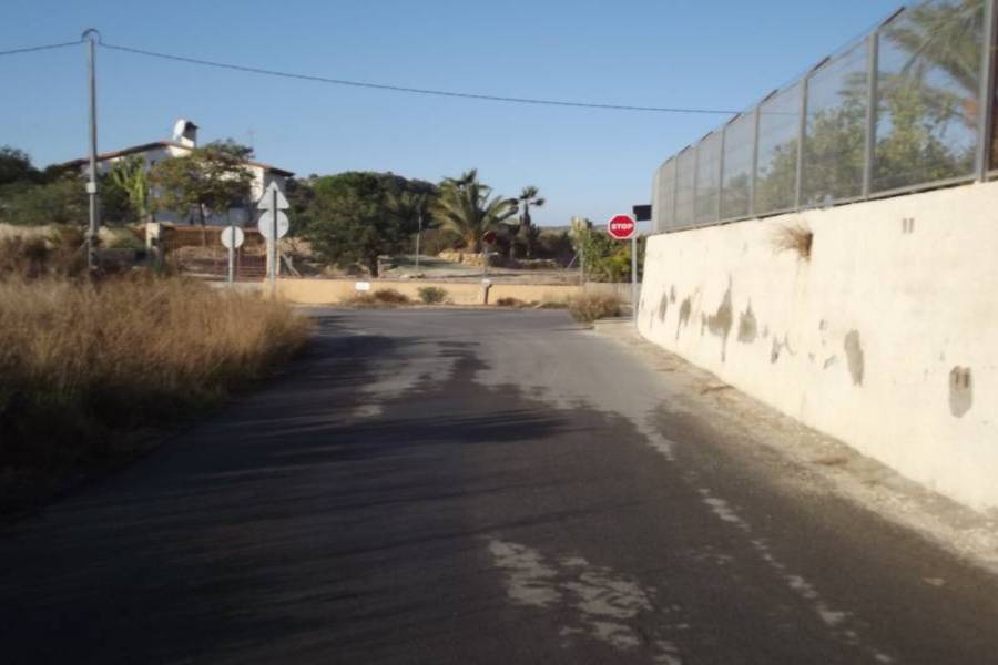 Elche,Alicante,España,Lotes-Terrenos,24375