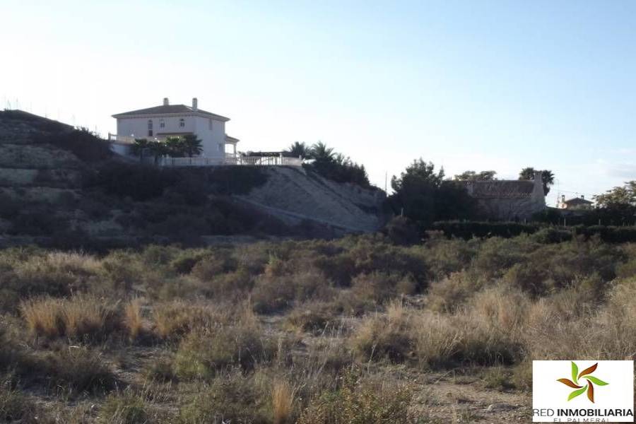 Elche,Alicante,España,Lotes-Terrenos,24376
