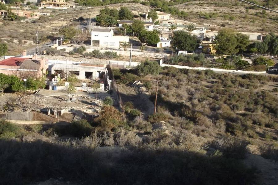 Elche,Alicante,España,Lotes-Terrenos,24376