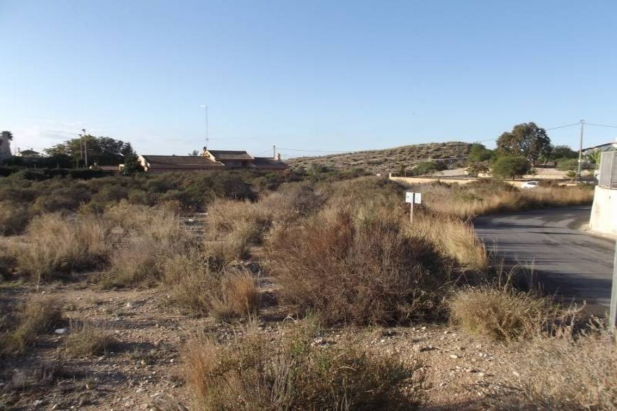 Elche,Alicante,España,Lotes-Terrenos,24376