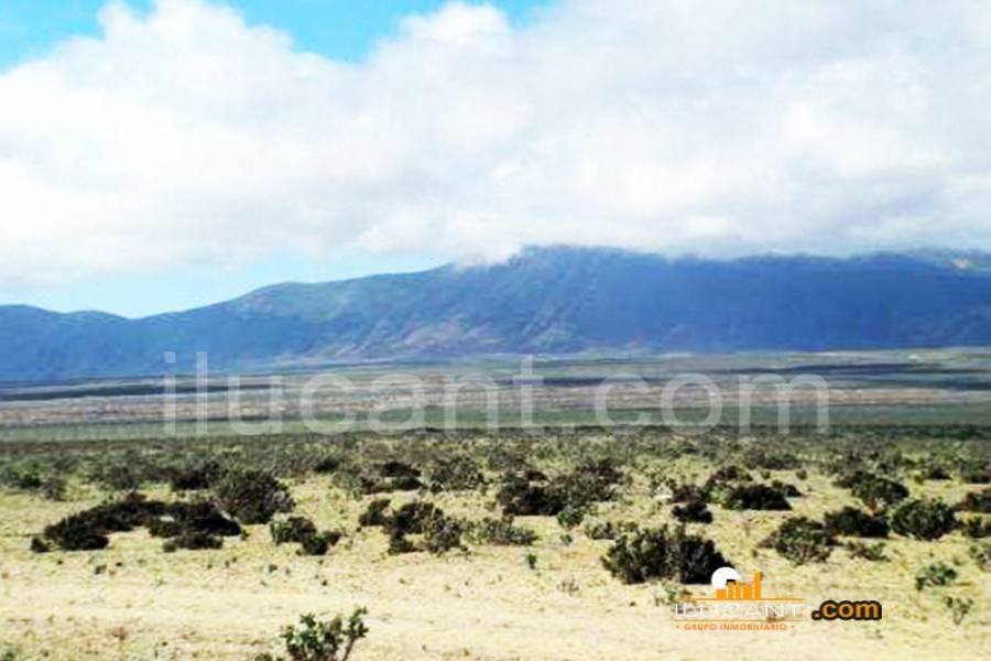 Agost,Alicante,España,Lotes-Terrenos,24386