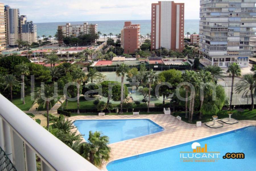 Alicante,Alicante,España,2 Bedrooms Bedrooms,1 BañoBathrooms,Apartamentos,24397
