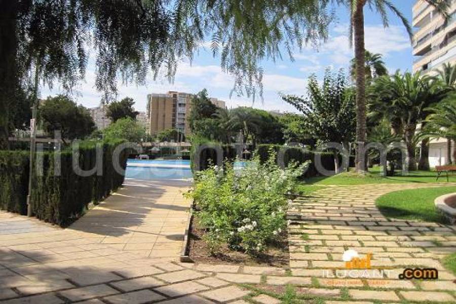 Alicante,Alicante,España,2 Bedrooms Bedrooms,1 BañoBathrooms,Apartamentos,24397