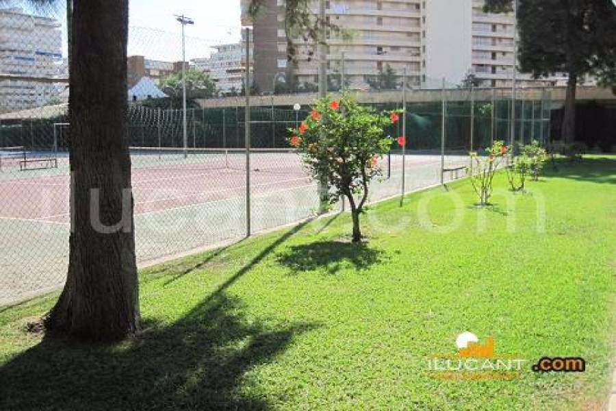 Alicante,Alicante,España,2 Bedrooms Bedrooms,1 BañoBathrooms,Apartamentos,24397