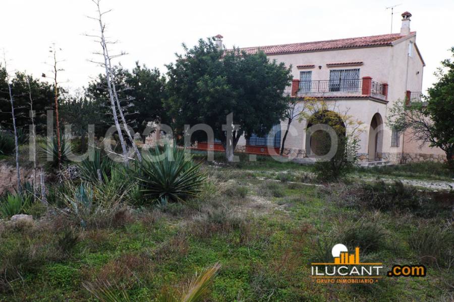 Mutxamel,Alicante,España,5 Bedrooms Bedrooms,3 BathroomsBathrooms,Casas,24407