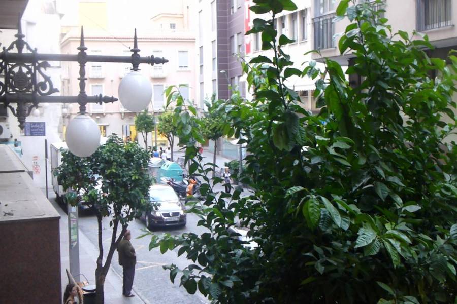 Elche,Alicante,España,3 Bedrooms Bedrooms,Entresuelo,24425