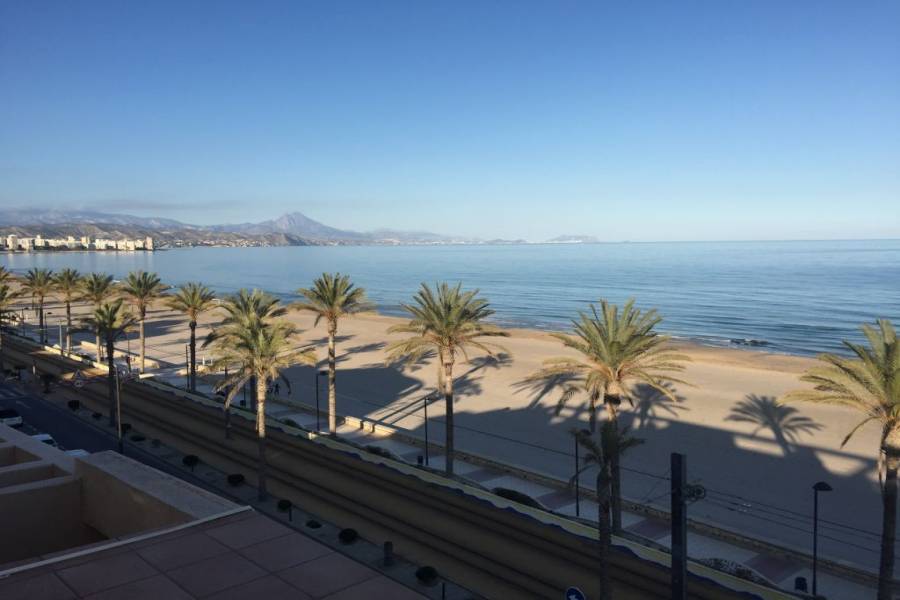 el Campello,Alicante,España,5 Bedrooms Bedrooms,3 BathroomsBathrooms,Atico,24439