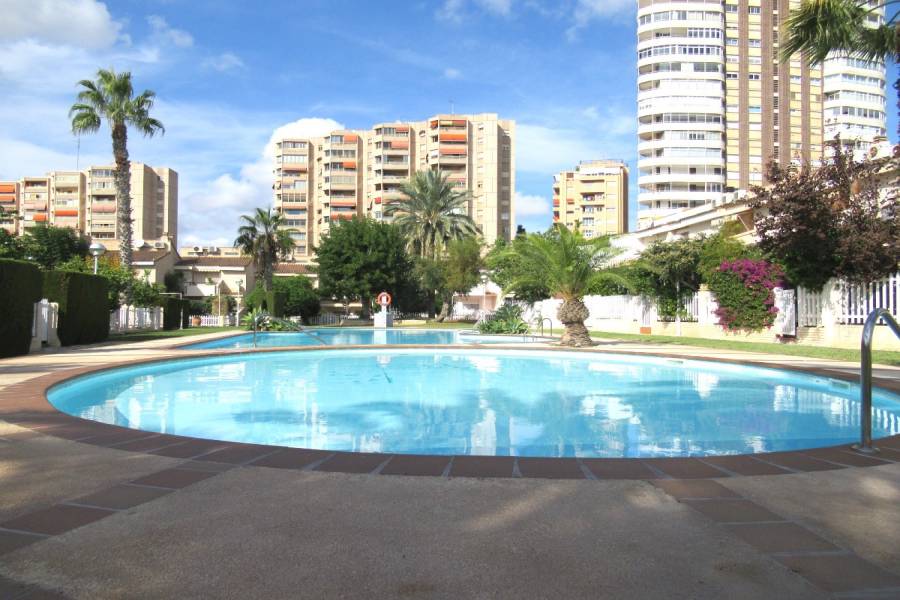 Alicante,Alicante,España,5 Bedrooms Bedrooms,2 BathroomsBathrooms,Adosada,24441