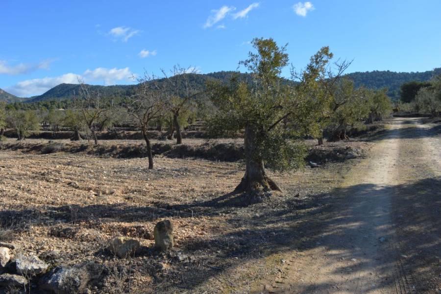 Biar,Alicante,España,1 Dormitorio Bedrooms,Casas,24475