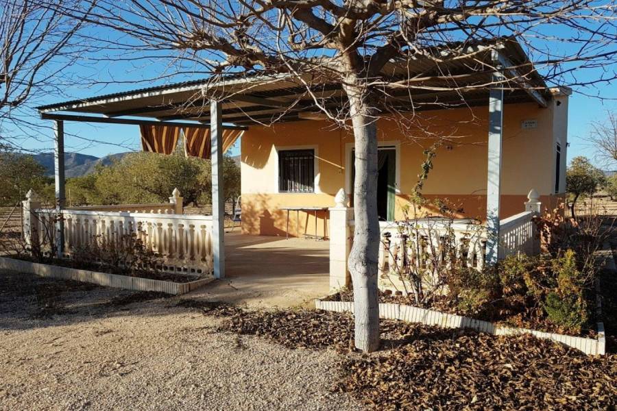Villena,Alicante,España,Casas,24486