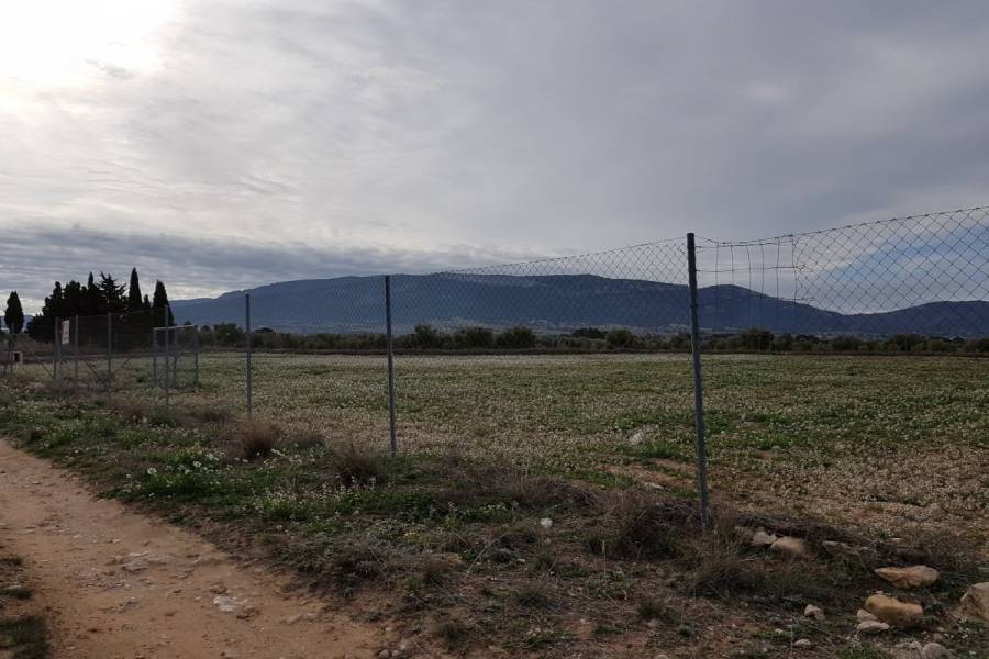 Biar,Alicante,España,Lotes-Terrenos,24488