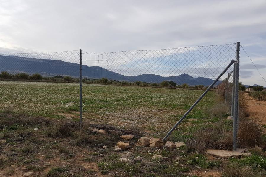 Biar,Alicante,España,Lotes-Terrenos,24488