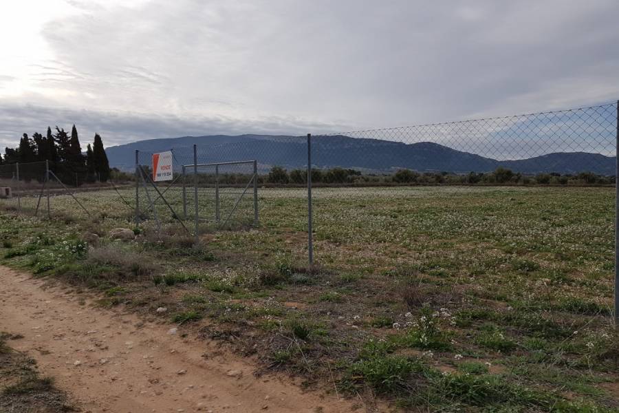 Biar,Alicante,España,Lotes-Terrenos,24488