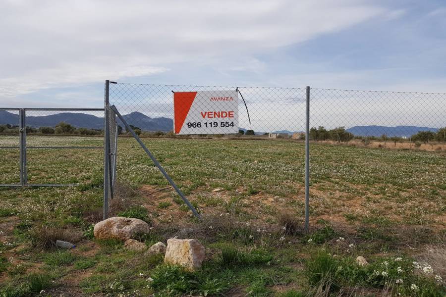 Biar,Alicante,España,Lotes-Terrenos,24488