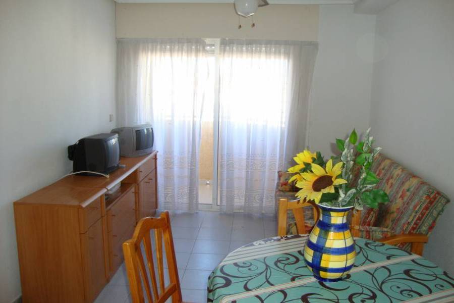 Torrevieja,Alicante,España,1 Dormitorio Bedrooms,1 BañoBathrooms,Apartamentos,24501