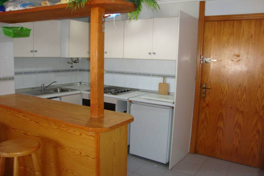 Torrevieja,Alicante,España,1 Dormitorio Bedrooms,1 BañoBathrooms,Apartamentos,24501