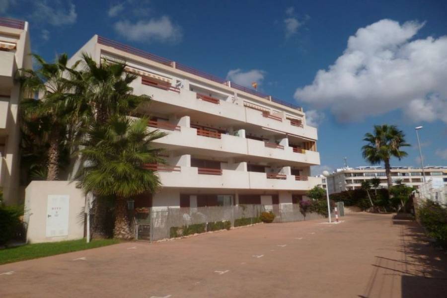 Orihuela Costa,Alicante,España,2 Bedrooms Bedrooms,2 BathroomsBathrooms,Apartamentos,24503