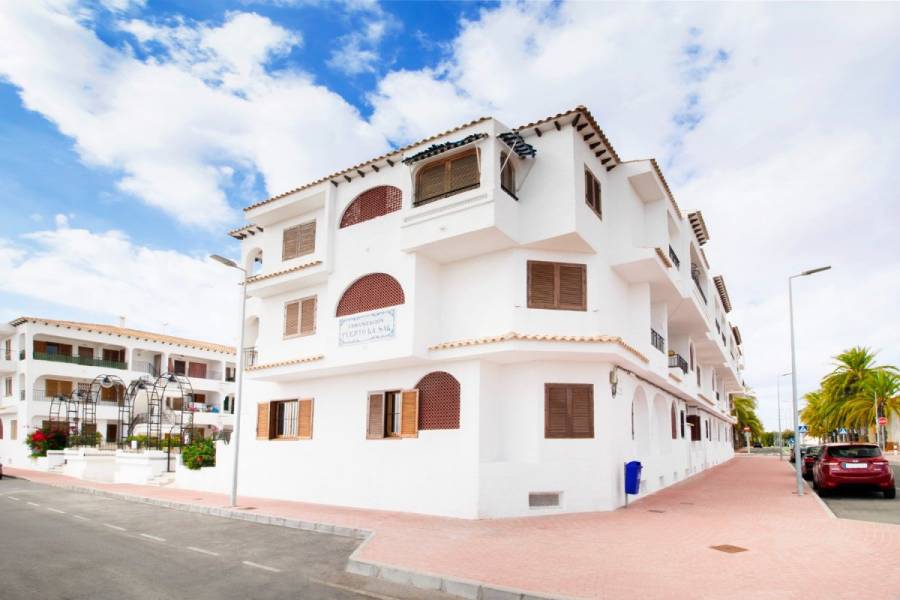 Torrevieja,Alicante,España,3 Bedrooms Bedrooms,1 BañoBathrooms,Apartamentos,24522