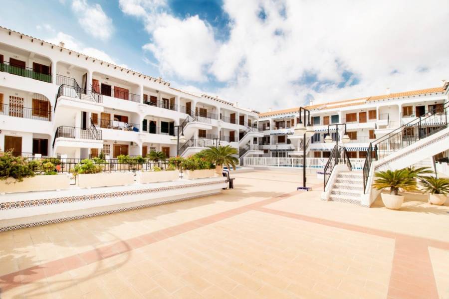 Torrevieja,Alicante,España,3 Bedrooms Bedrooms,1 BañoBathrooms,Apartamentos,24522
