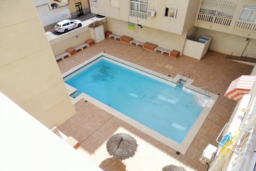Torrevieja,Alicante,España,1 Dormitorio Bedrooms,1 BañoBathrooms,Apartamentos,24526