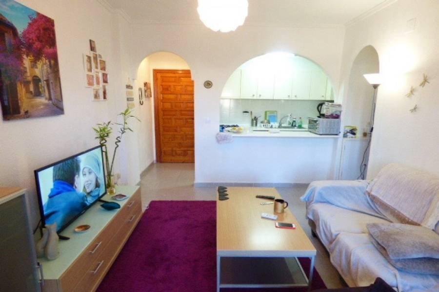 Torrevieja,Alicante,España,1 Dormitorio Bedrooms,1 BañoBathrooms,Apartamentos,24536