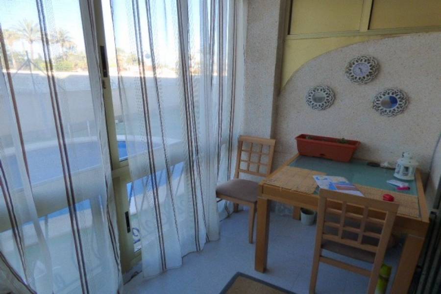 Torrevieja,Alicante,España,1 Dormitorio Bedrooms,1 BañoBathrooms,Apartamentos,24536