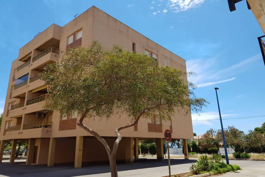 Torrevieja,Alicante,España,3 Bedrooms Bedrooms,2 BathroomsBathrooms,Apartamentos,24542