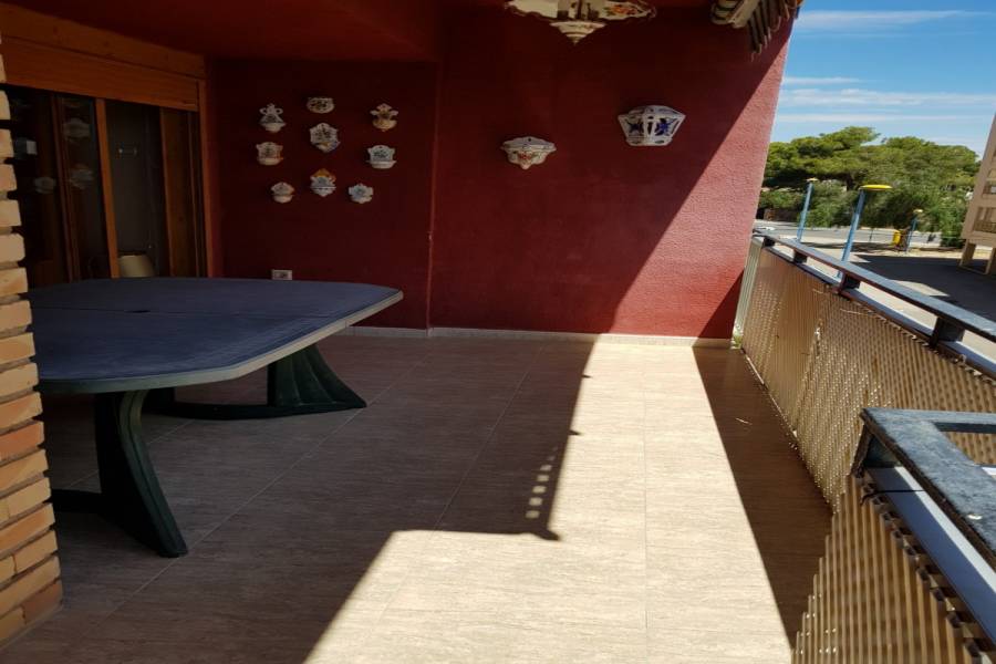 Torrevieja,Alicante,España,3 Bedrooms Bedrooms,2 BathroomsBathrooms,Apartamentos,24542
