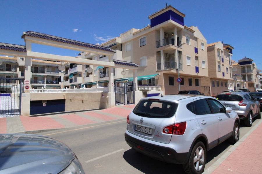 Torrevieja,Alicante,España,Cocheras,24545