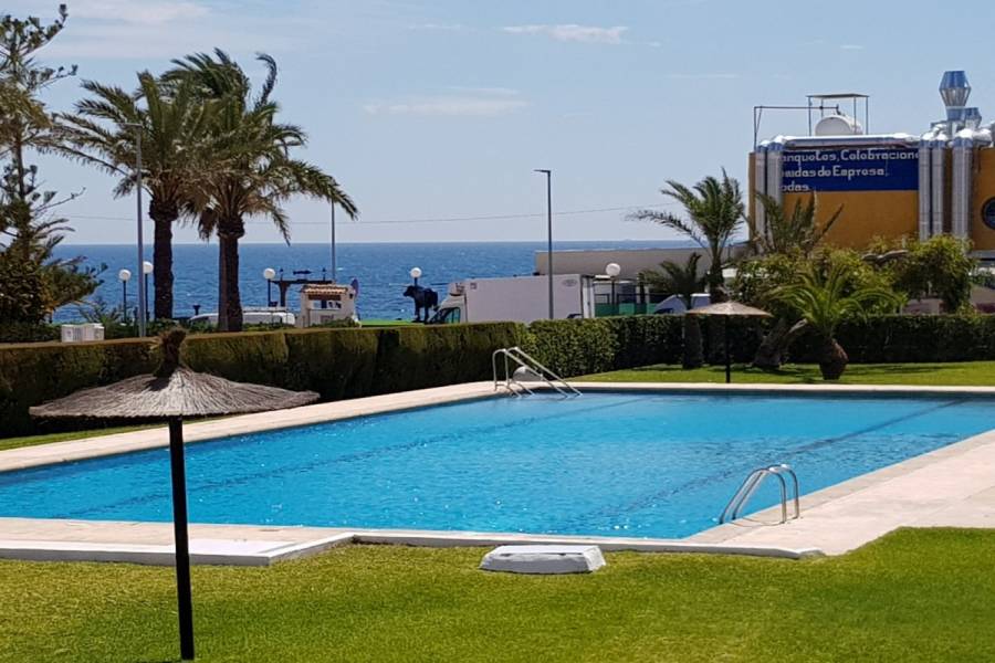 Torrevieja,Alicante,España,2 Bedrooms Bedrooms,1 BañoBathrooms,Apartamentos,24547