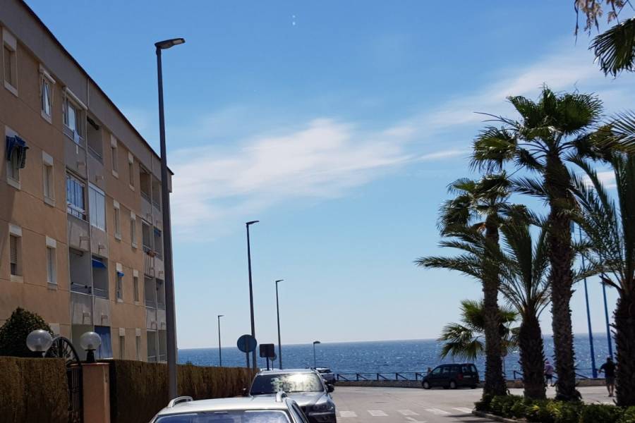 Torrevieja,Alicante,España,2 Bedrooms Bedrooms,1 BañoBathrooms,Apartamentos,24547