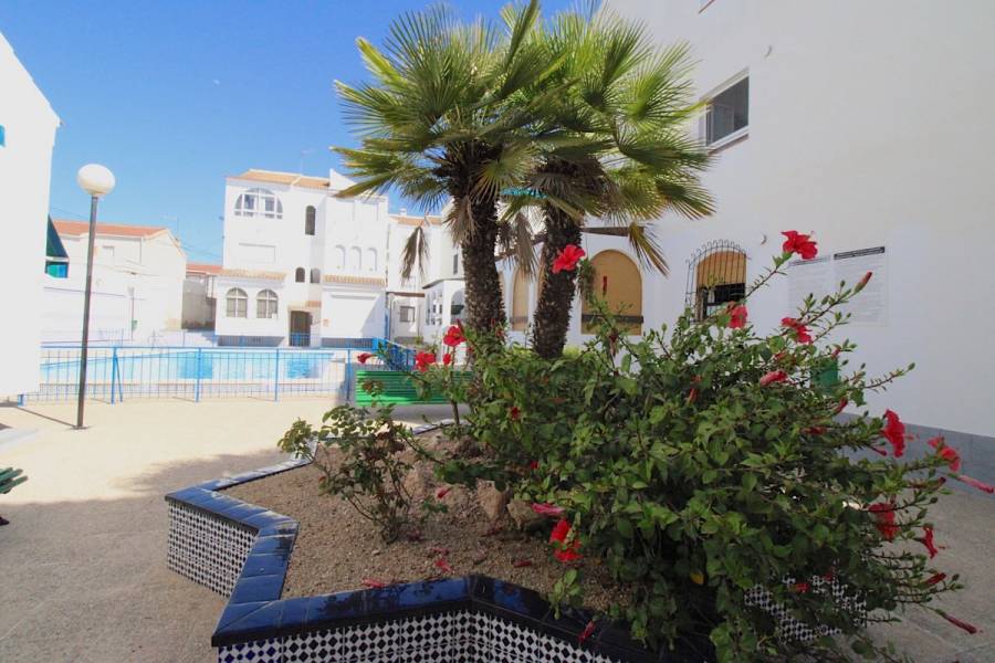 Torrevieja,Alicante,España,2 Bedrooms Bedrooms,1 BañoBathrooms,Apartamentos,24549