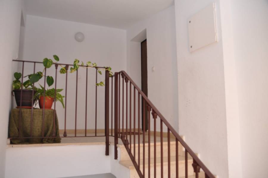 Torrevieja,Alicante,España,2 Bedrooms Bedrooms,1 BañoBathrooms,Atico duplex,24578