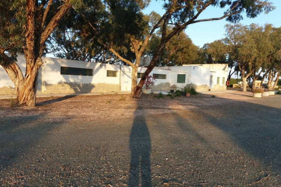 Elche,Alicante,España,1 Dormitorio Bedrooms,1 BañoBathrooms,Lotes-Terrenos,24600