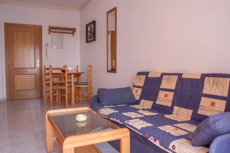 Torrevieja,Alicante,España,1 Dormitorio Bedrooms,1 BañoBathrooms,Apartamentos,24612