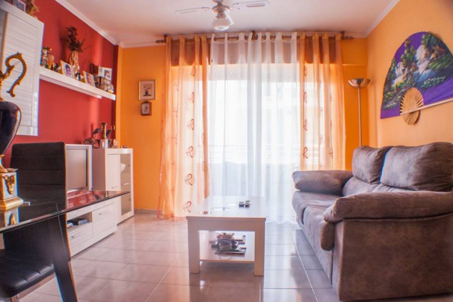 Torrevieja,Alicante,España,1 Dormitorio Bedrooms,1 BañoBathrooms,Apartamentos,24616