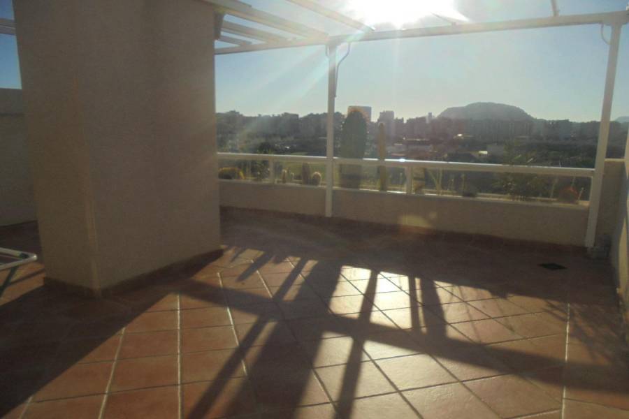 San Juan playa,Alicante,España,2 Bedrooms Bedrooms,2 BathroomsBathrooms,Atico,24666