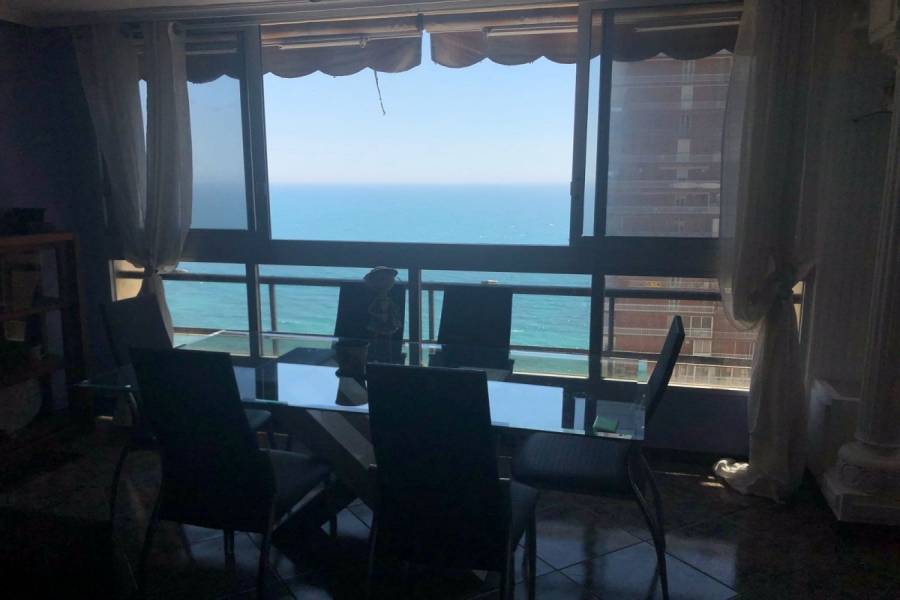 Alicante,Alicante,España,1 Dormitorio Bedrooms,1 BañoBathrooms,Apartamentos,24706