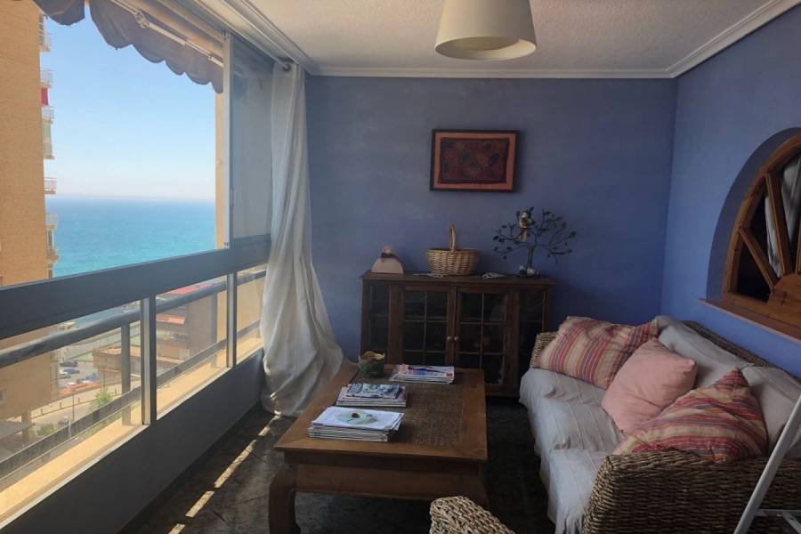 Alicante,Alicante,España,1 Dormitorio Bedrooms,1 BañoBathrooms,Apartamentos,24706