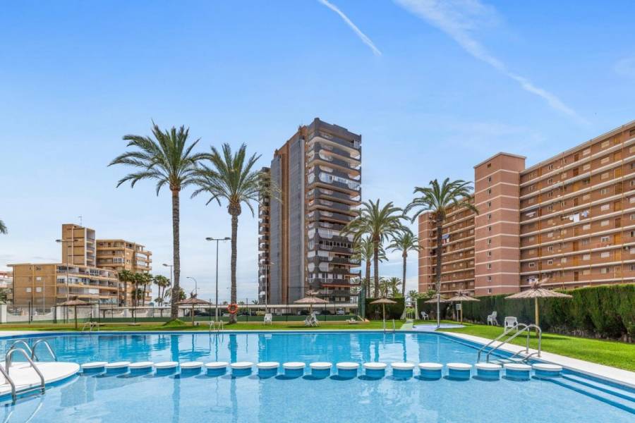 Alicante,Alicante,España,3 Bedrooms Bedrooms,2 BathroomsBathrooms,Apartamentos,24710