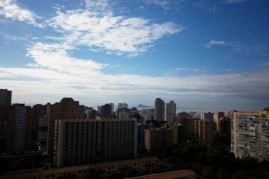Benidorm,Alicante,España,1 Dormitorio Bedrooms,1 BañoBathrooms,Apartamentos,24721